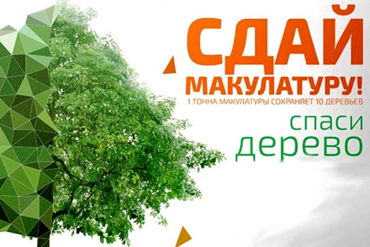 Эко марафон Сдай макулатуру Спаси дерево 2022